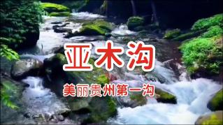我叫MT4