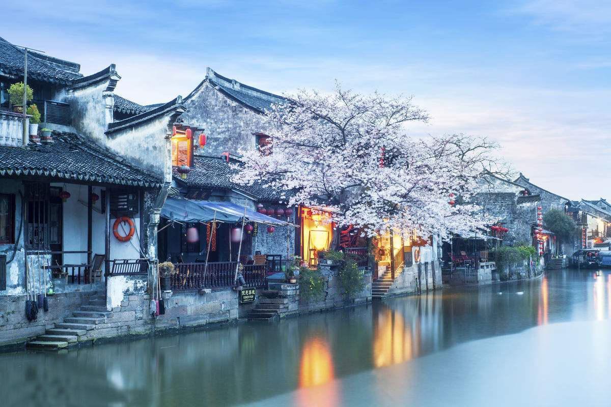 死亡细胞